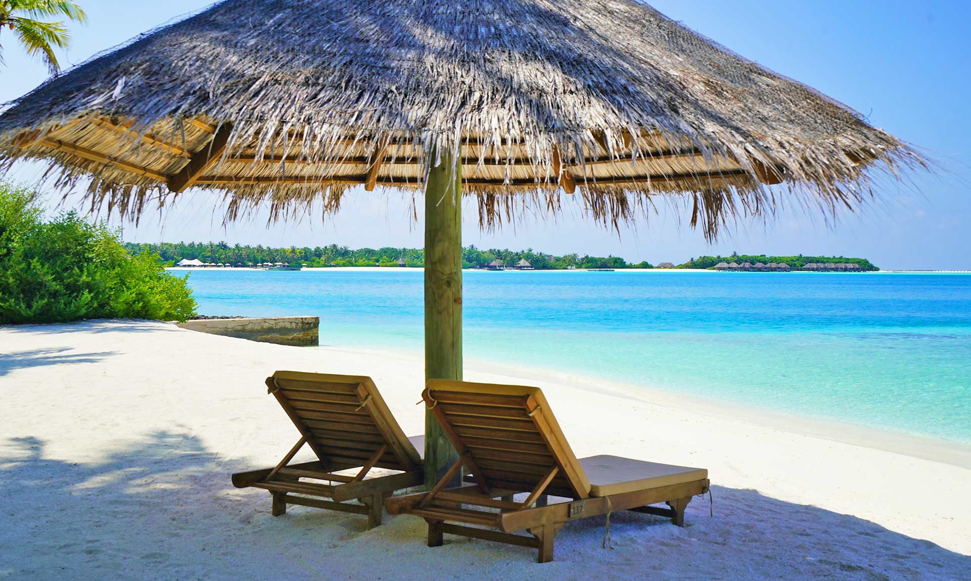 Lounge Chairs Under Thatched Umbrella at the Beach Avada Car Dealer News
