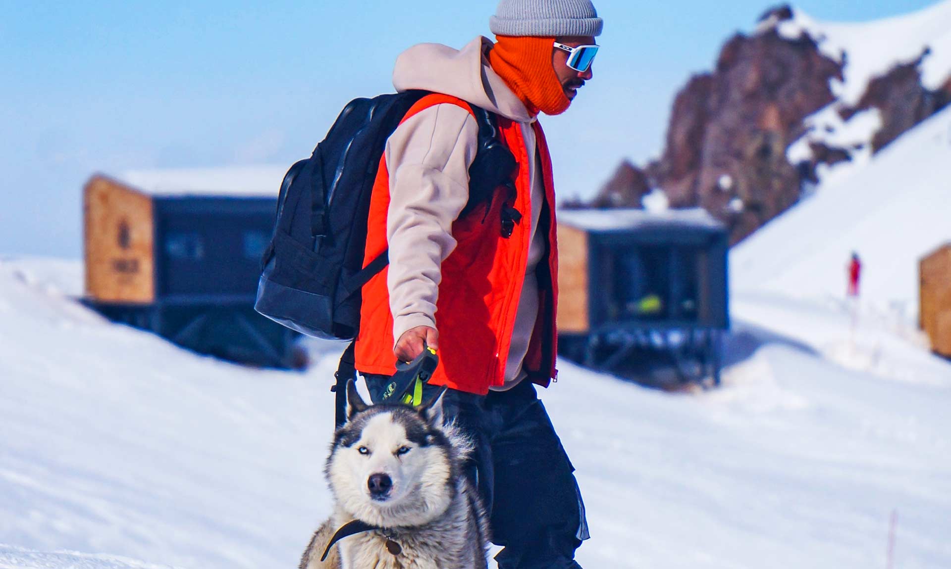 Person Walking Husky in the Snow Avada Car Dealer News